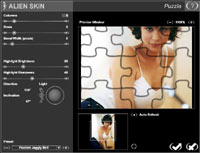 Puzzle Filter