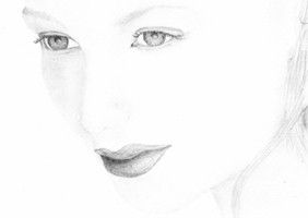 Model 5 scan